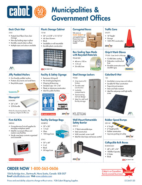 Municipalities and Government Offices Flyer