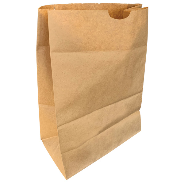 1271705000 - PAPER BAG CAR ORDER DD50 NO HANDLES : 12"W x 7"D x 17"H, kraft, standard duty