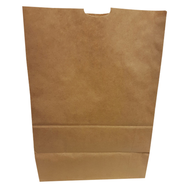 PGB50LB - PAPER BAG KARRY ALL 50 LB DD50 : 9-3/4"W x 6"D x 16-1/2"H, kraft, standard duty, bundle of 500 bags